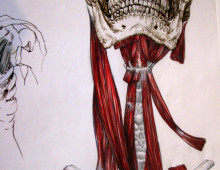 Anatomy illustration